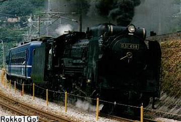D51
